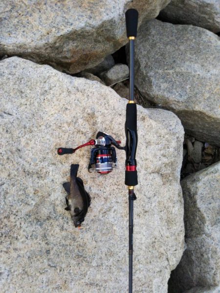 デイメバリング