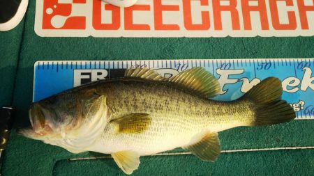 先輩に乗せてもらって南湖