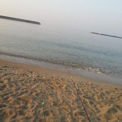 花見カレイ狙いで…。