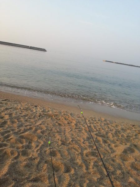 花見カレイ狙いで…。