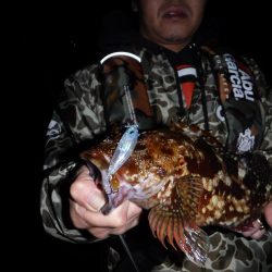 プラグでガシラ！