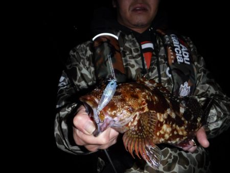 プラグでガシラ！