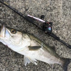 荒天ランガンプラッギング