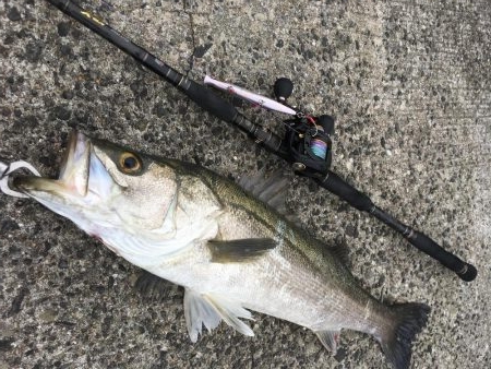 荒天ランガンプラッギング