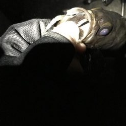 寒かったです！