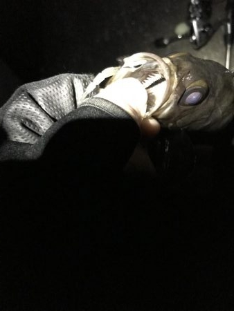 寒かったです！