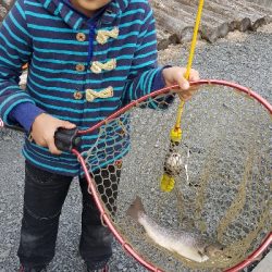 アクアヘブンで大型レインボーと大型イワナ