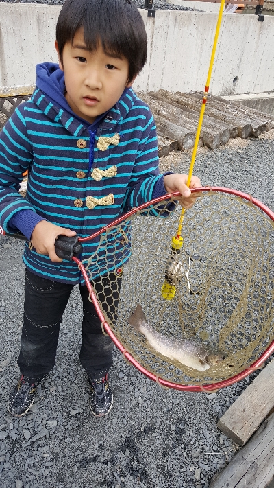 アクアヘブンで大型レインボーと大型イワナ