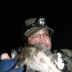 チーバスに邪魔される～