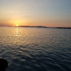 ガシラ釣り　～約一時間の短時間釣行～