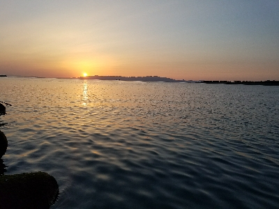 ガシラ釣り　～約一時間の短時間釣行～