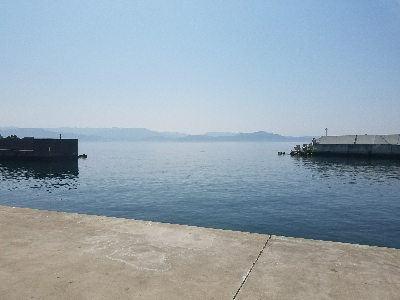 イワシ釣り ~ノマセは不発