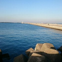 久しぶりの釣果