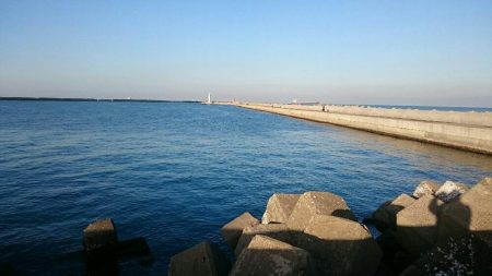 久しぶりの釣果