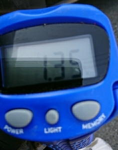 エギング釣行その11