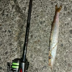 単発でカマス…。