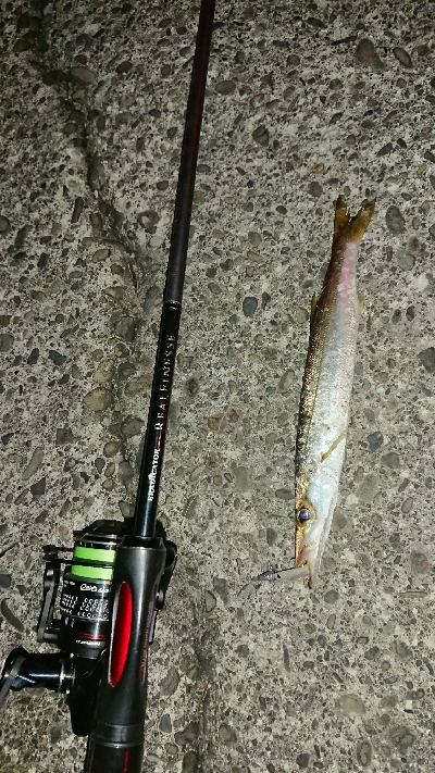 単発でカマス…。