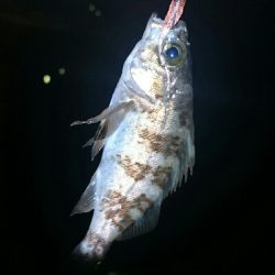 気配はあるが…