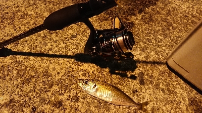 アジとアラハダ