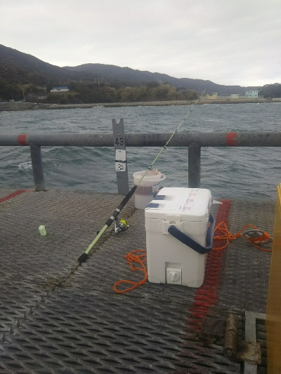 晴天だが暴風！