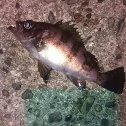 期待していたけど