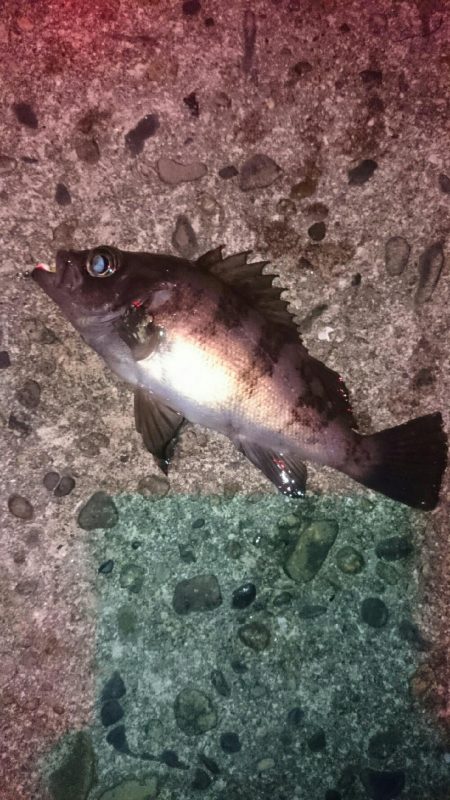 期待していたけど