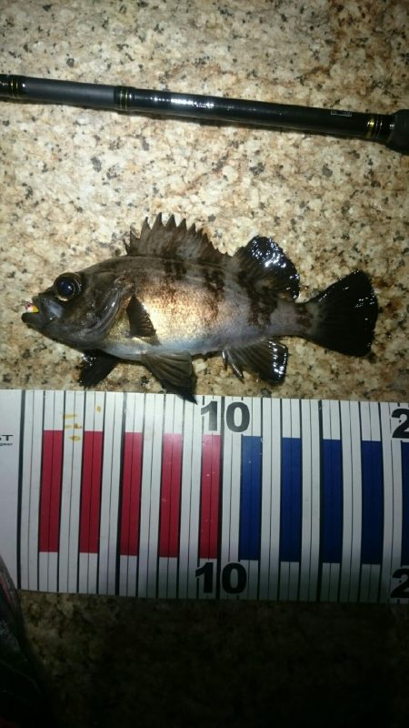 フロートメバリング