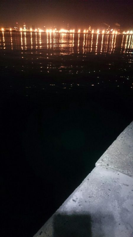 シーバスさえ居なければ？