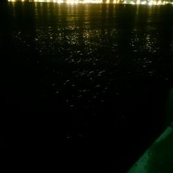 ショートバイト