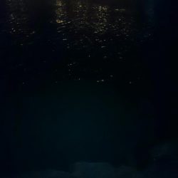 まだまだ寒い。