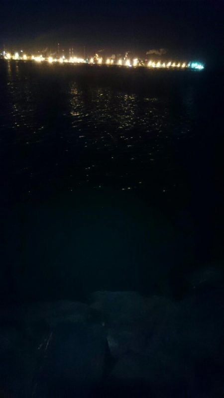 まだまだ寒い。