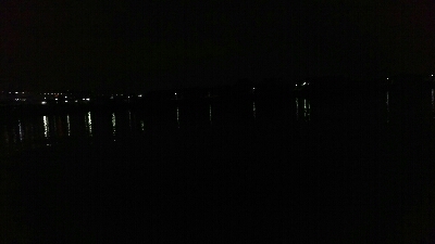 今年初シーバス