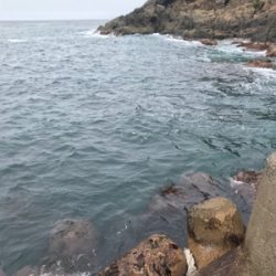 島根半島 手結港 チヌフカセ