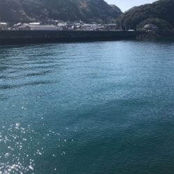 パタパタWヒット