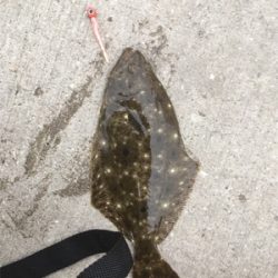 温かい春ですな