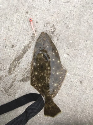 温かい春ですな