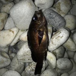 久しぶりの感触!