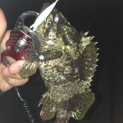 垂水漁港でガシリング！