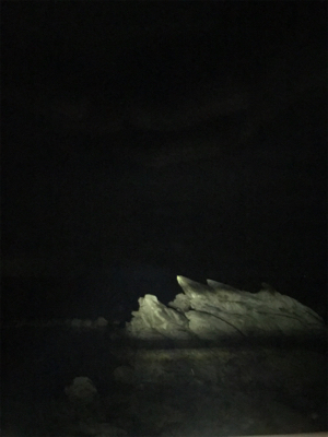 夏泊港 フカセ夜釣り 沈黙。。。