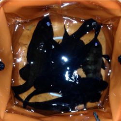 怠慢メバリング