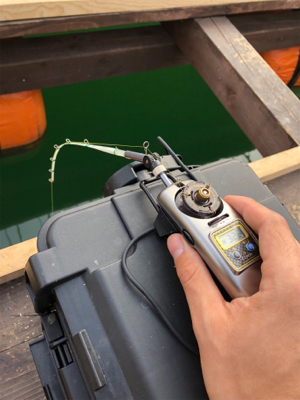 銀山湖 ワカサギ