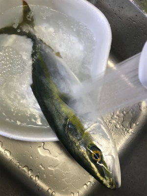 heyheyshipさん 2回目釣行