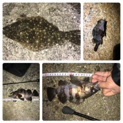 メバリング/ボラリング/ナイトゲーム☆