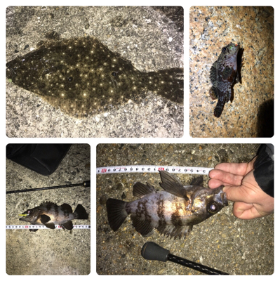 メバリング/ボラリング/ナイトゲーム☆