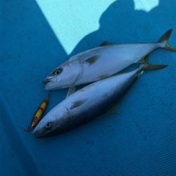 スロージギング