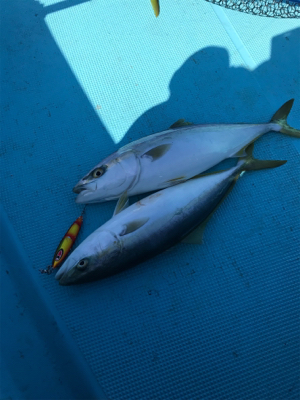 スロージギング