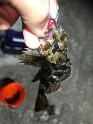 ガッシーに癒されましたー