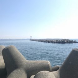 和田防波堤 フカセチヌ