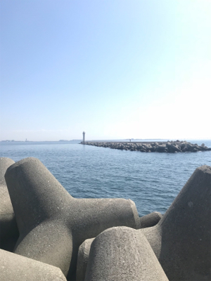 和田防波堤 フカセチヌ