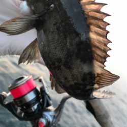 んん~(釣行 其の拾参)